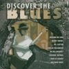 Discover the Blues, Vol. 1