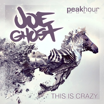 This Is Crazy - Single
