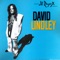 El Rayo-X - David Lindley lyrics