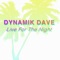 In the Moment (feat. David Lyn) - Dynamik Dave lyrics