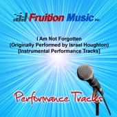 Not Forgotten (Medium Key) [Originally Performed by Israel Houghton] [Instrumental Track] artwork