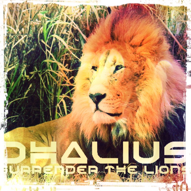 Surrender the Lions Album Cover