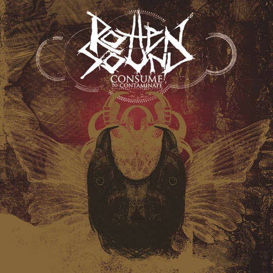Cover artwork for Flesh