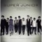 THE 4TH ALBUM『美人(BONAMANA)』 REPACKAGE ジャケット写真