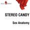 Sex Anatomy - Stereo Candy lyrics