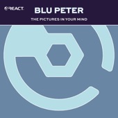 The Pictures in Your Mind (Club Mix) artwork