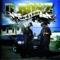 Bricks (feat. Juvenile) - D-Boyz lyrics