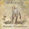 Harvest • Wintertime - Single artwork