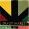 Elizabeth - Ziggy Marley lyrics
