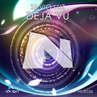 DeJa Vu - Single - Silvio Luz