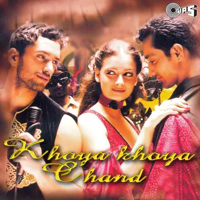 Khoya Khoya Chand - Alka Yagnik