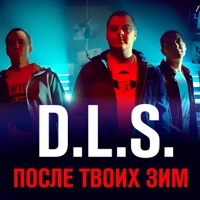 После твоих зим (feat. Витольд Петровский) - Single - D.L.S.