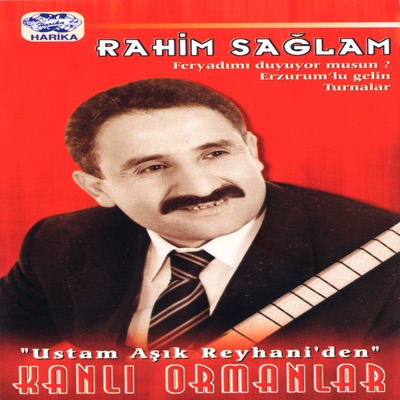 Rahim Sağlam - Dağlar