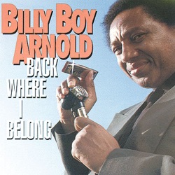Billy Boy Arnold - Prisoner's Plea