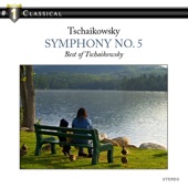 Tschaikowsky: Symphony No. 5 artwork