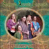 It's a Big World — Starseed Acoustic Ensemble