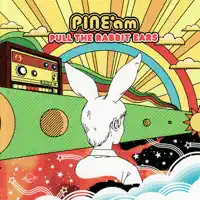 Do I Know You — PINE*am