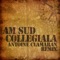 Collegiala (Antoine Clamaran's Remix) - Am Sud lyrics