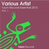 Tulum Records Essentials 2012, Vol. 1
