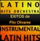 El colesterol - Latino Hits Orchestra lyrics