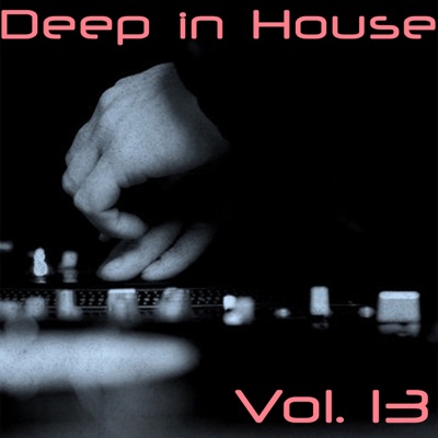 Deep in House, Vol. 13