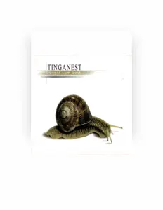 收听 Tinganest、观看音乐视频、阅读小传、查看巡演日期等 ！