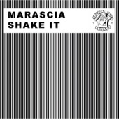 Shake It artwork