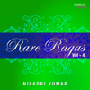 Rare Ragas Vol. 4 - Niladri Kumar