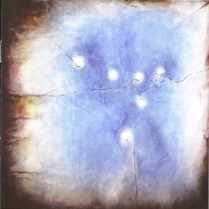 Delicate Fires