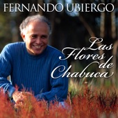 Fernando Ubiergo... Las Flores de Chabuca artwork