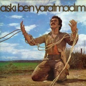 Vazgeç Gönül artwork