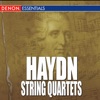 Haydn - String Quartets artwork