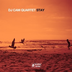 DJ Cam Quartet - The Sweetest Pain