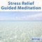 10 Minutes Stress Relief Guided Meditation - Guided Meditation lyrics