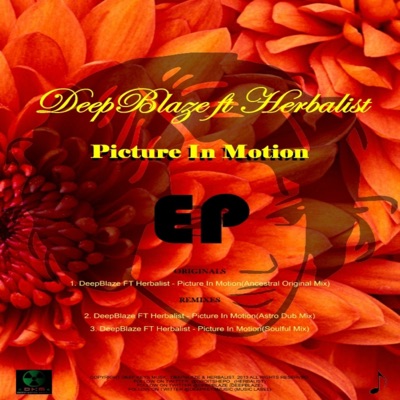 Picture In Motion EP (feat. Herbalist) - Single