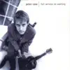 Peter Case - On the Way Downtown