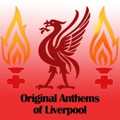 Liverpool (We're Never Gonna Stop) artwork