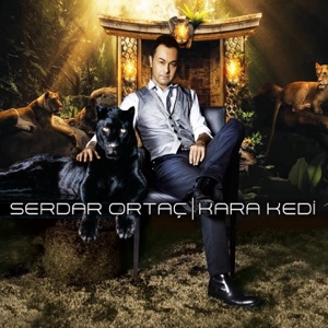 Serdar Ortaç - Kara Kedi - 排舞 编舞者