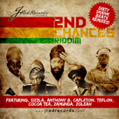 Cover art for 2nd Chances Riddim (Dirty Skank Beats Remixes) by Various Artists