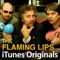 Free Radicals (iTunes Originals Version) - The Flaming Lips lyrics