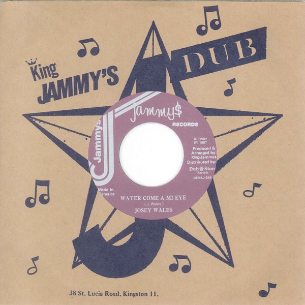 Water Come a Mi Eye / Mi Ah the Danger - Single