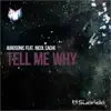 Aurosonic - Tell Me Why (feat. Nicol Cache)
