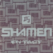 The Shamen - Move Any Mountain