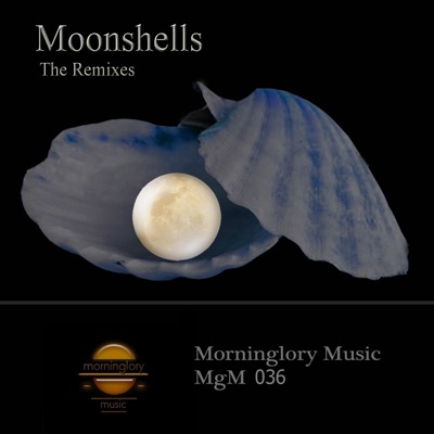 Moonshells the Remixes