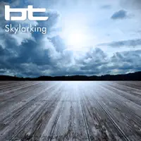 Skylarking (Radio Edit) — BT