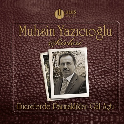 Üşüyorum