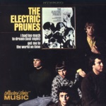 The Electric Prunes - Are You Lovin' Me More (But Enjoying It Less)