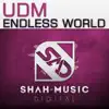 UDM - Endless World (Radio Edit)