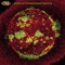 Champagne - 311 lyrics