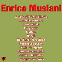 Enrico Musiani - Il tuo mondo